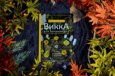 Книга "Вікка для початківців" Сабін Тея 30142 фото