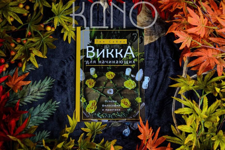 Книга "Вікка для початківців" Сабін Тея 30142 фото