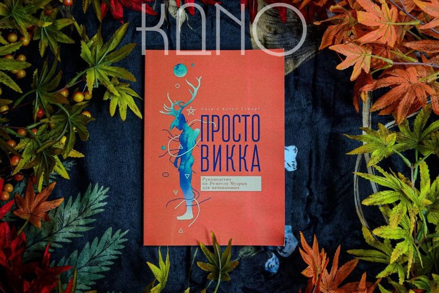 Книга Стюарт Ліза "Просто Вікка" 30145 фото