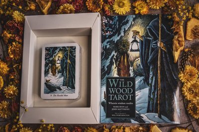 "Таро Дикого Лісу" The Wild Wood Tarot (Подарунковий набір в коробці) 24052 фото